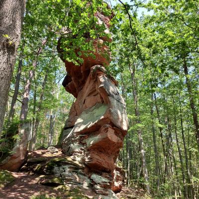 Felsenwanderweg Rodalben